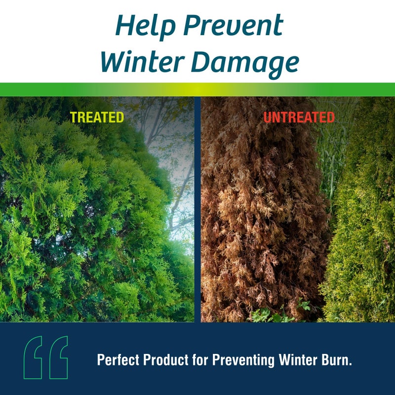 Wilt-PrufÂ® Concentrate | Protect Against Winter Damage, Drought, and Stress | Just Spray & Let Dry | Locks in Moisture w/Clear Foliar Film | Professional-Grade & Trusted | Replaces Burlap | (1 Gal) - Image 4